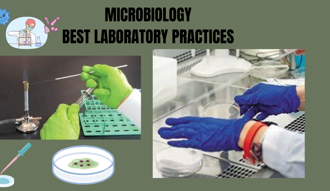 Microbiology Best laboratory practices