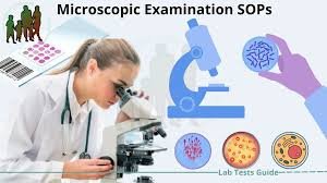 SOP for Instrument for Macroscopical Examination