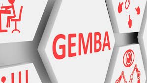 Driving Operational Excellence in Pharma: The Role of Gemba Walks