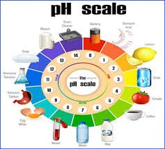 PH Value, pH Scale and Its Measurement between 0 and 14