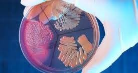 How to Remove Pathogens from Water Systems
