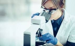 Extraneous Peaks in Chromatographic Analysis
