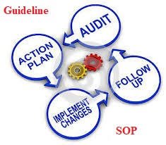 Self Inspection and Its Implementation in Pharmaceuticals
