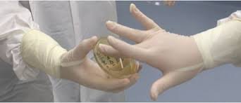 SOP for Finger Dab
