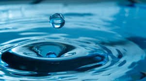 Guide to Inspections of High Purity Water Systems