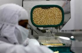 Data Falsification in Pharmaceutical Industry