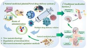 Novel Drug Delivery System