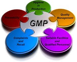 Current Good Manufacturing Practices – CGMP in Pharmaceutical Industries