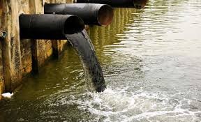 Case Studies: Troubleshooting Purified Water System Failures